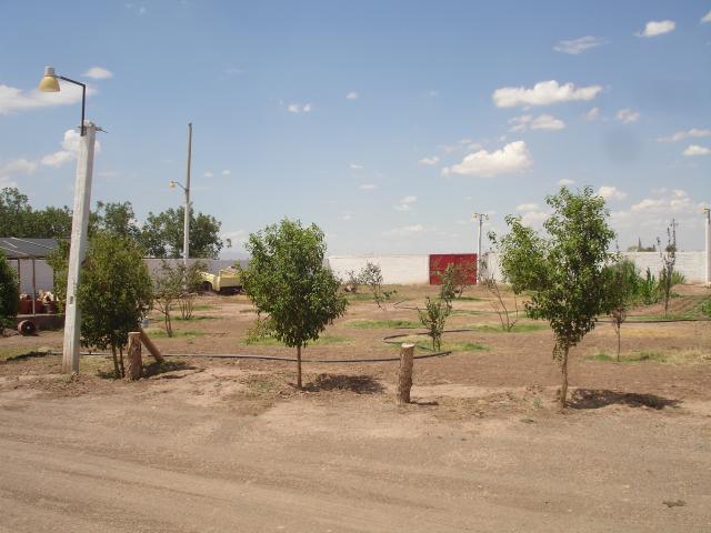 www.solinm.com.mx - Soluciones Inmobiliarias