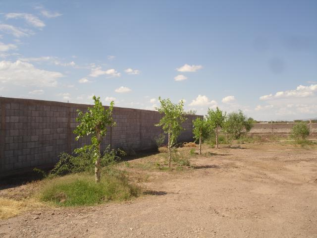www.solinm.com.mx - Soluciones Inmobiliarias